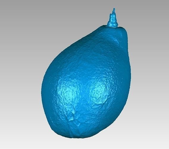 Real Avocado Fruit High Detail 3D Scan 3D print model