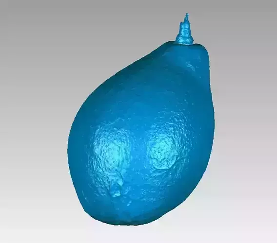 Real Avocado Fruit High Detail 3D Scan 3D print model