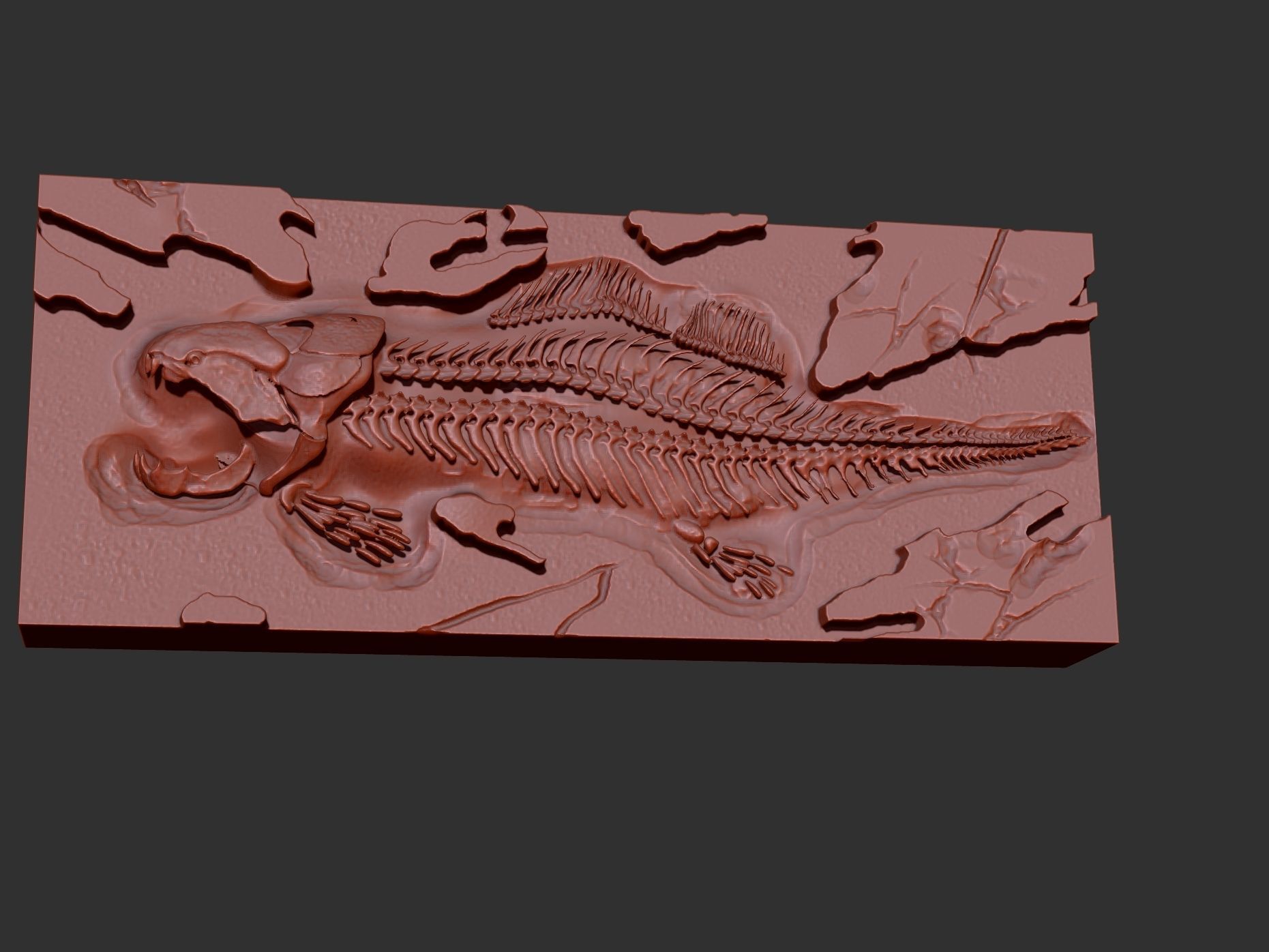 Dunkleosteus Excavations 3D print model