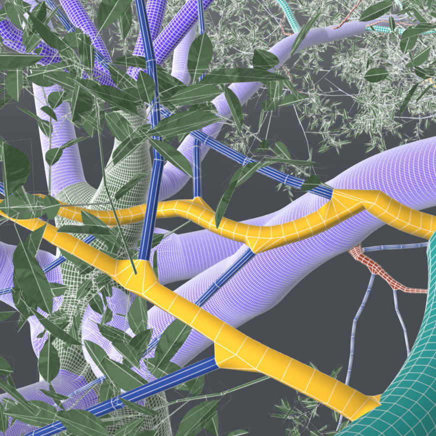 Live Oak - Variation D 3D model_5