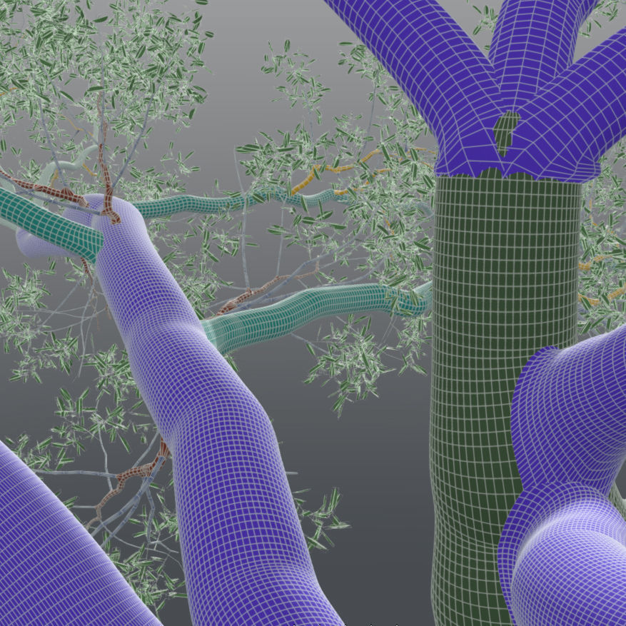 Live Oak - Variation F 3D model_5