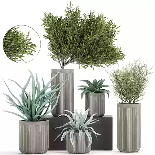 Decorative plants in a concrete flowerpots 802