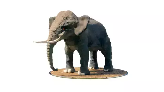 Elephant Low-poly 3D model