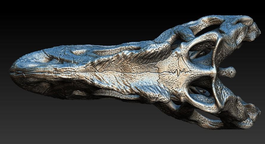 Allosaurus Skull 3D model_3
