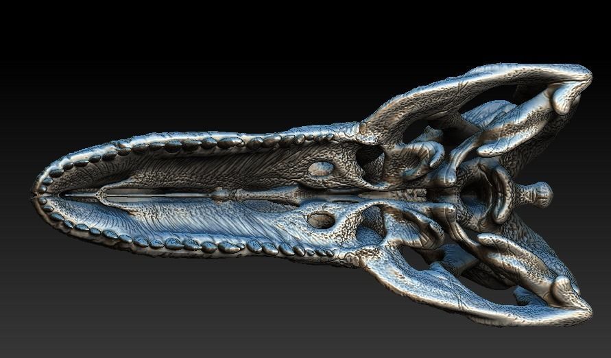 Allosaurus Skull 3D model_5