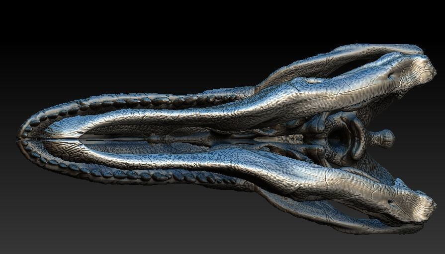 Allosaurus Skull 3D model_4