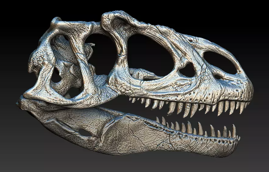 Allosaurus Skull 3D model_0