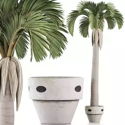 Plants Collection 133 Big Palm 3D model
