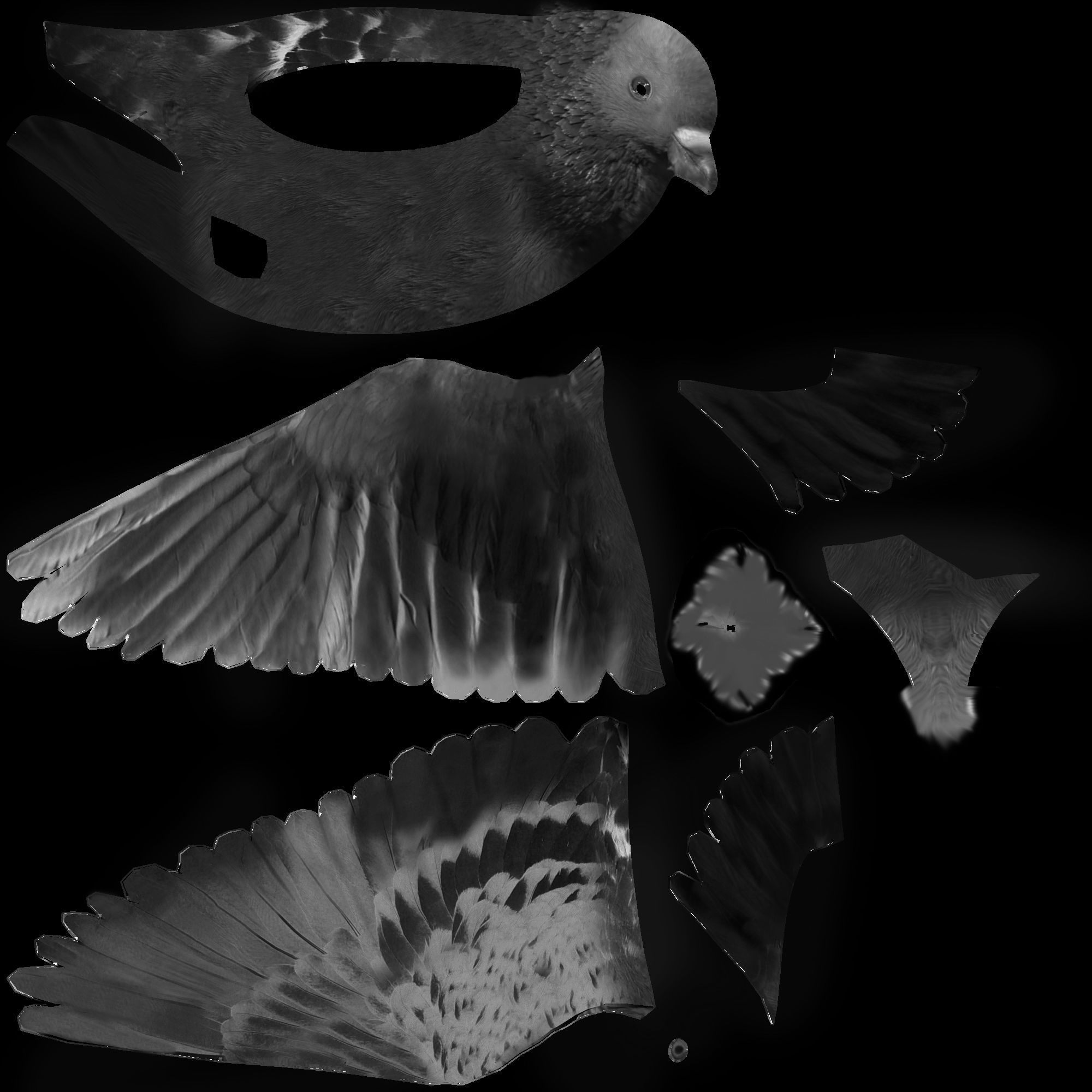 Dove 3d rigged model 3D model_2