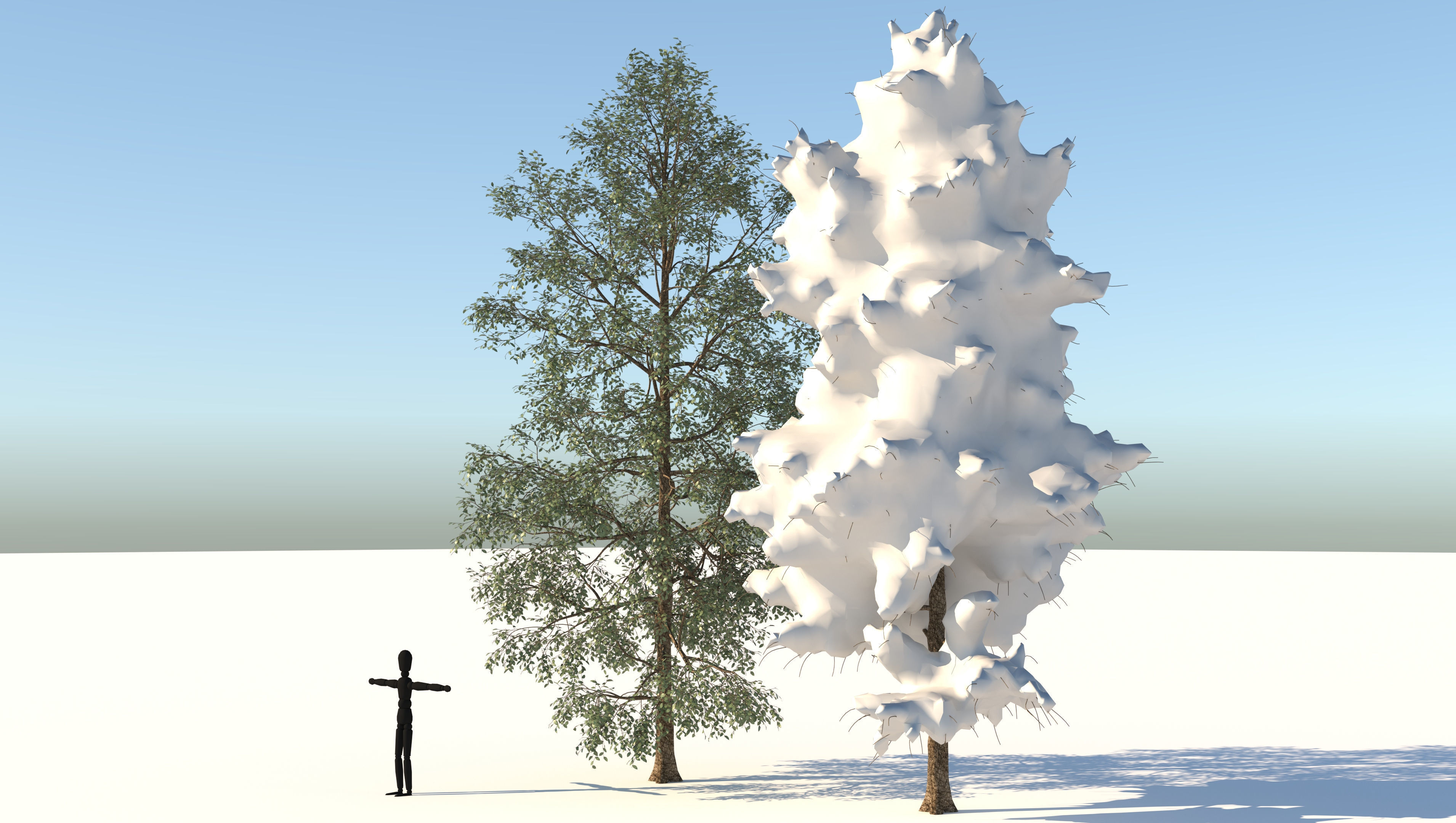 Season White Birch Tree 3D model_2