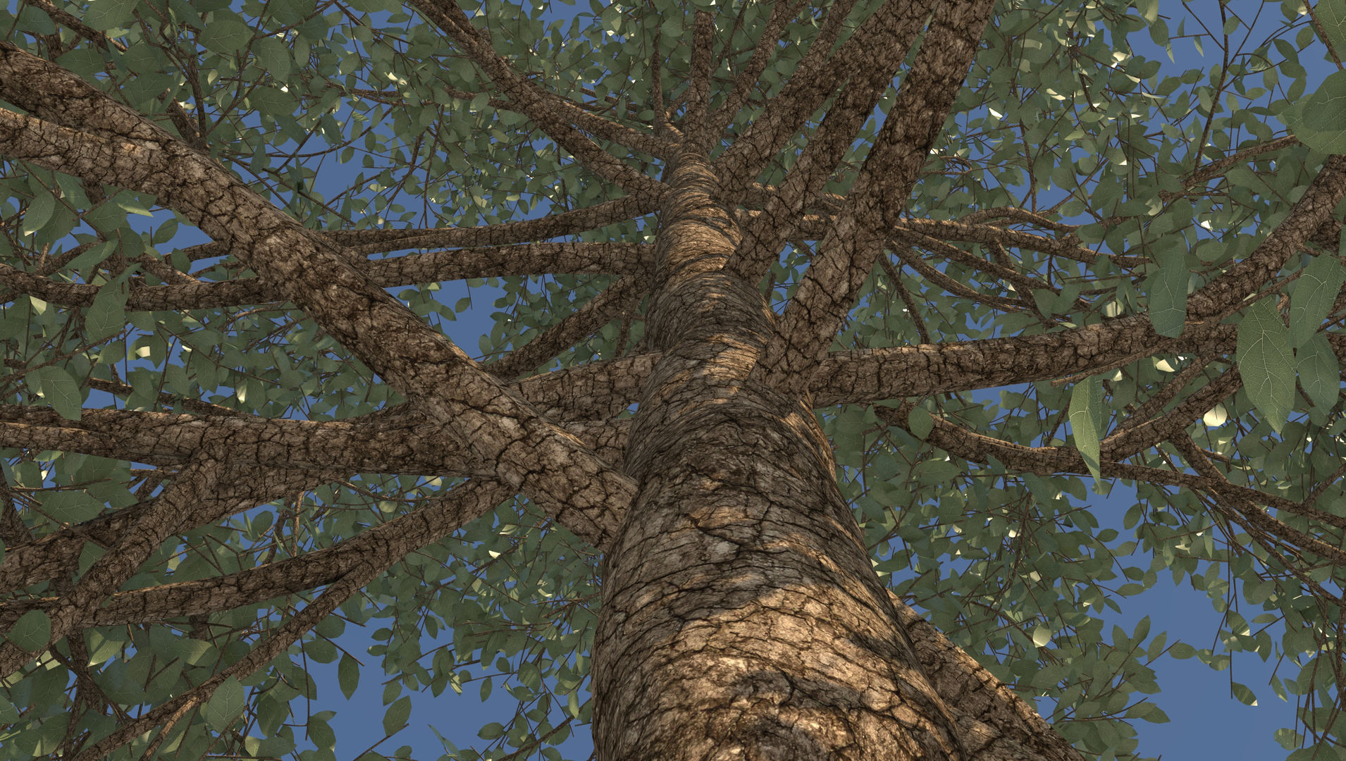 Season White Birch Tree 3D model_7