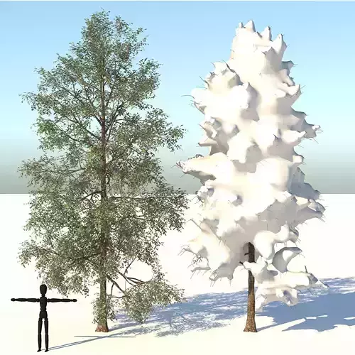  Season White Birch Tree 3D model