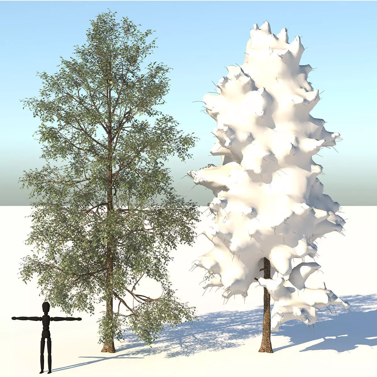 Season White Birch Tree 3D model_0