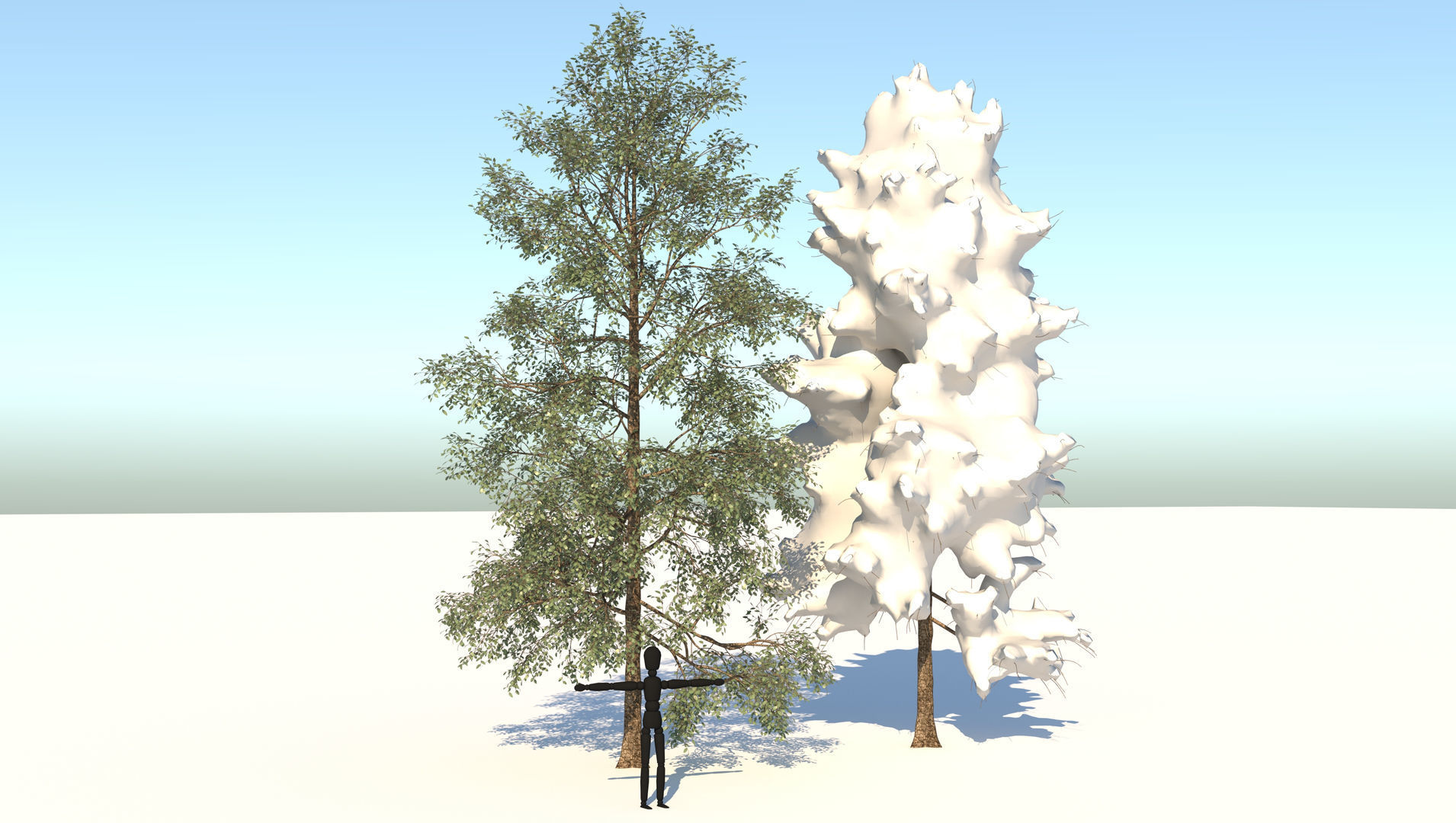 Season White Birch Tree 3D model_3