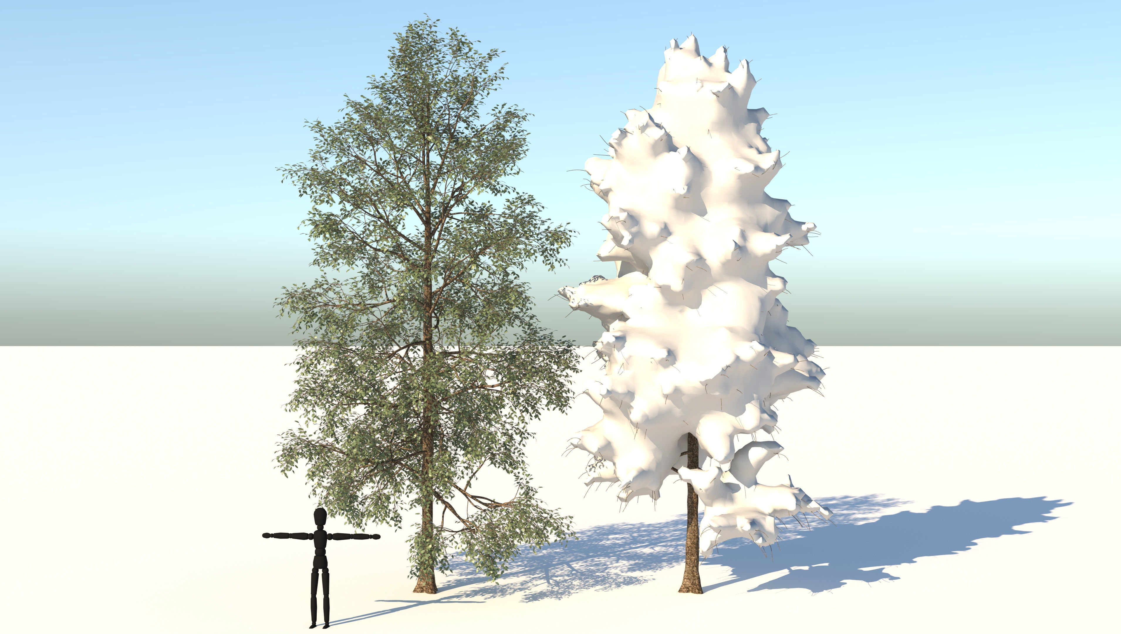 Season White Birch Tree 3D model_1