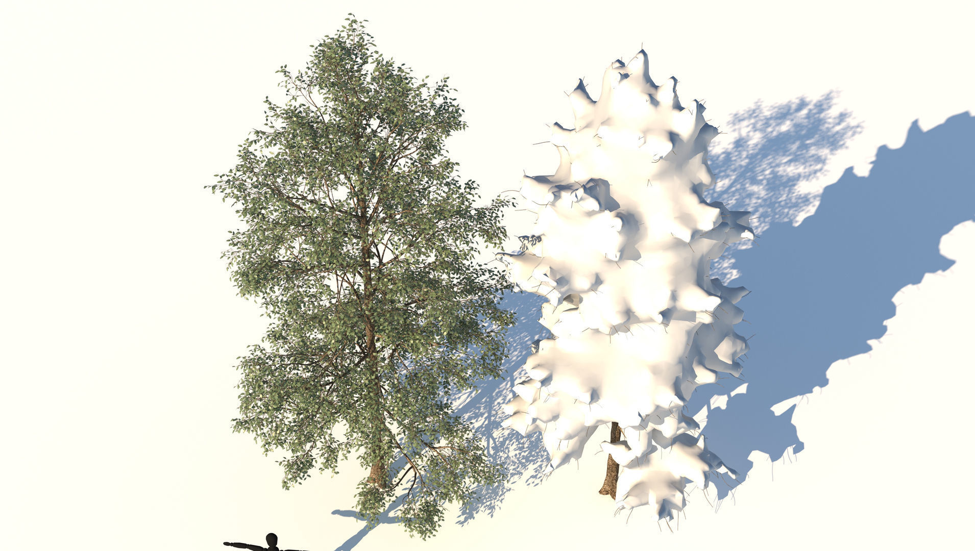 Season White Birch Tree 3D model_5