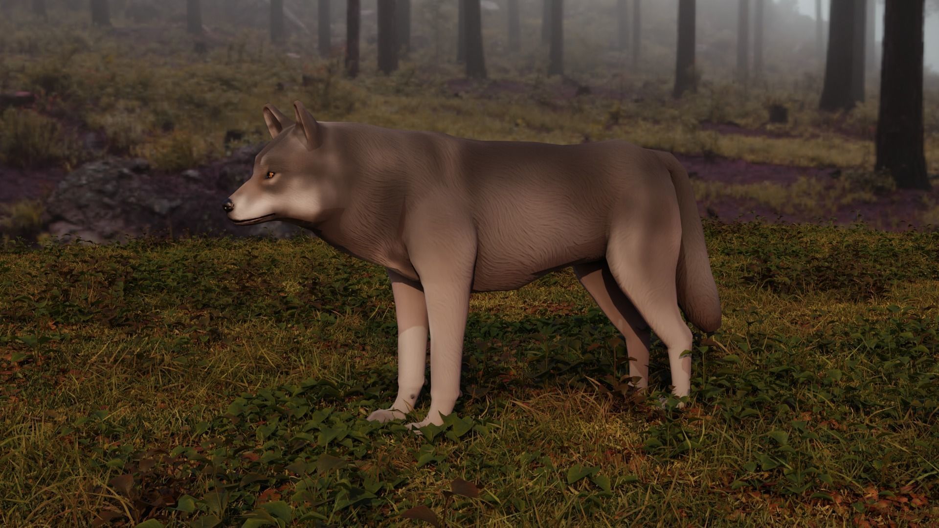 Wolf LowPoly Low-poly 3D model_2