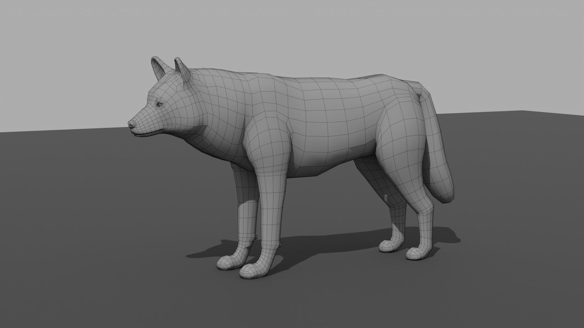 Wolf LowPoly Low-poly 3D model_11