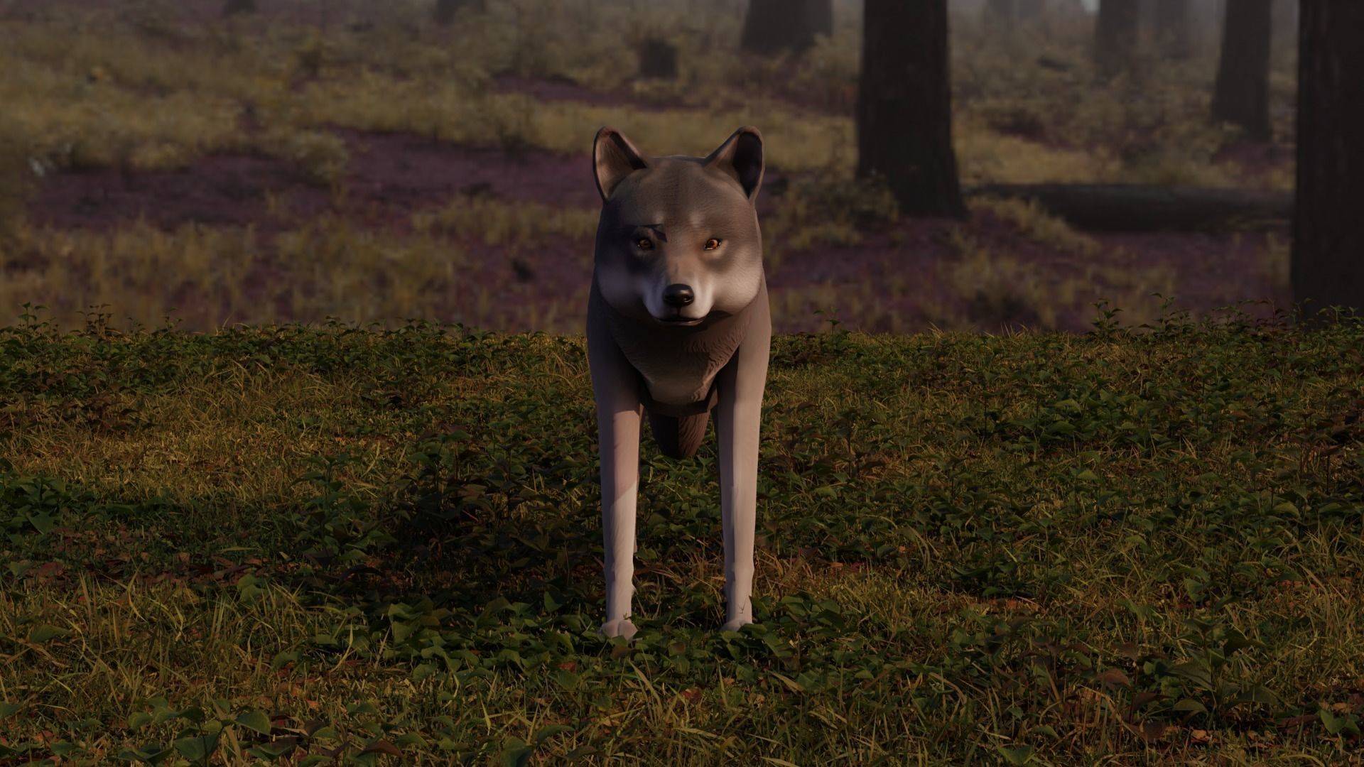 Wolf LowPoly Low-poly 3D model_3