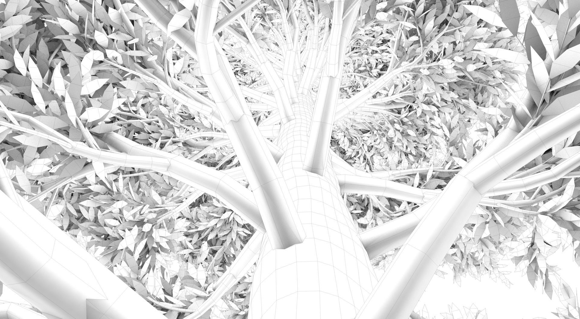 Tuscan Cypress Tree 3D model_14