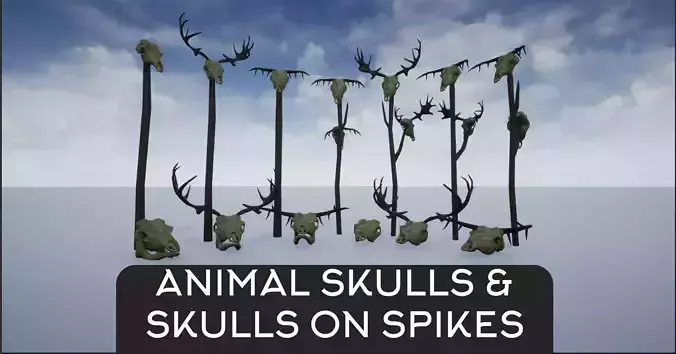 Animal Skulls and Antlers on Spikes 3D Model Collection