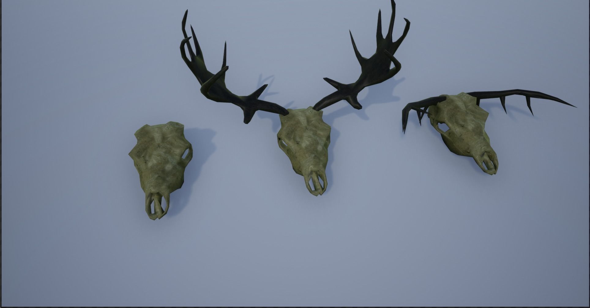 Animal Skulls and Antlers on Spikes 3D Model Collection_9