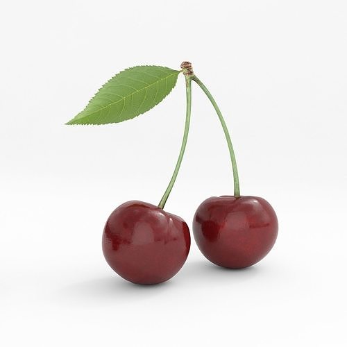 cherry 3D model two cherries 3D model 3