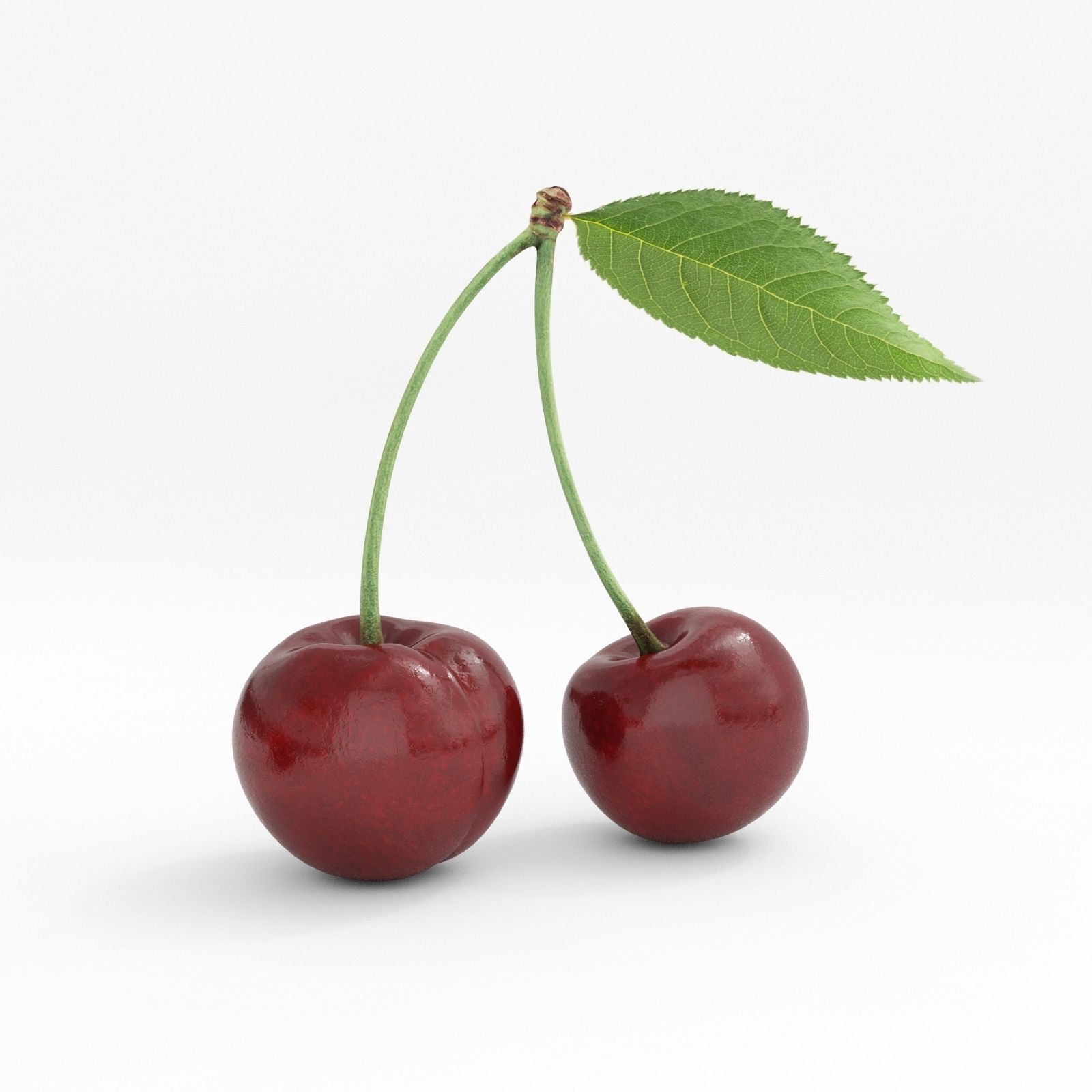 cherry 3D model two cherries 3D model_0
