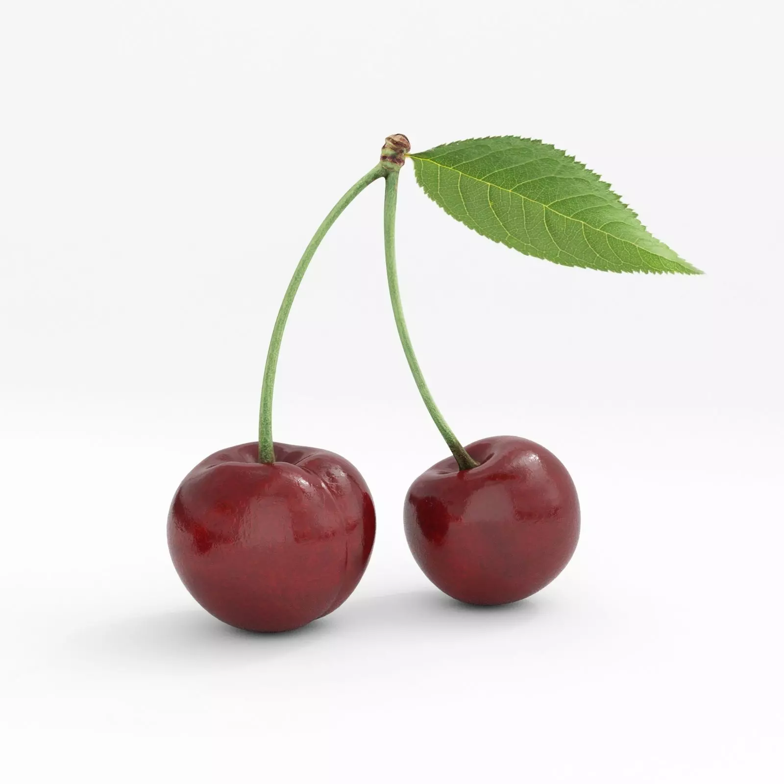 cherry 3D model two cherries 3D model_0