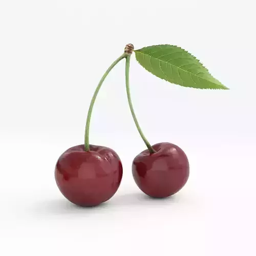 cherry 3D model two cherries 3D model