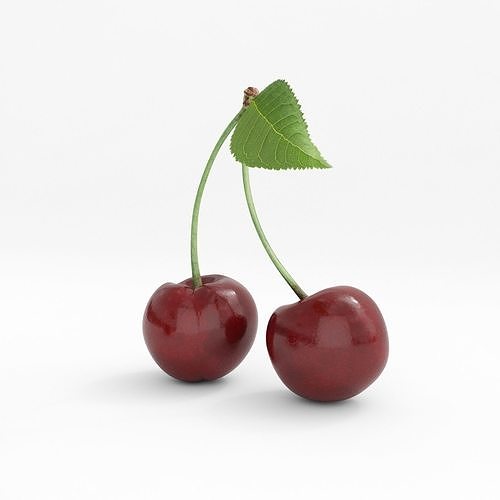 cherry 3D model two cherries 3D model 2