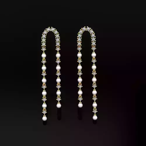 Earrings 24