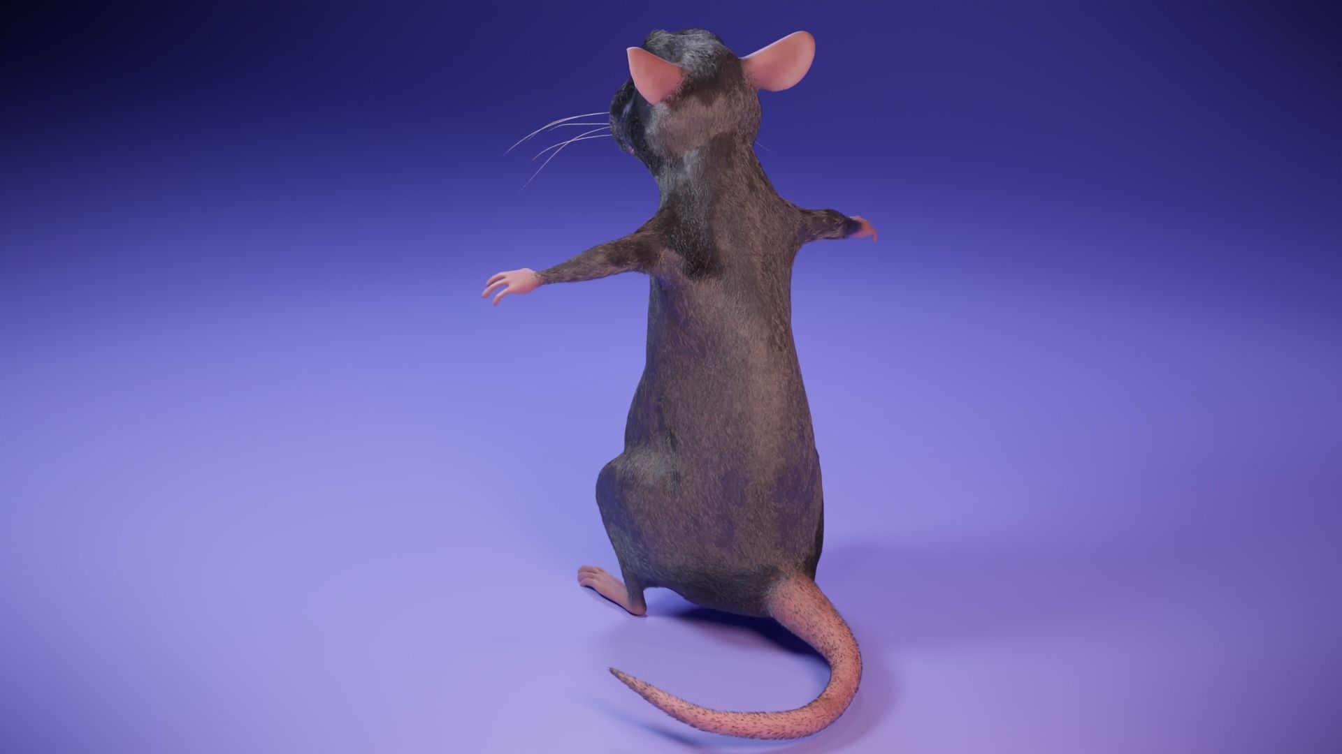 Cartoon Rat Low-poly 3D model_11