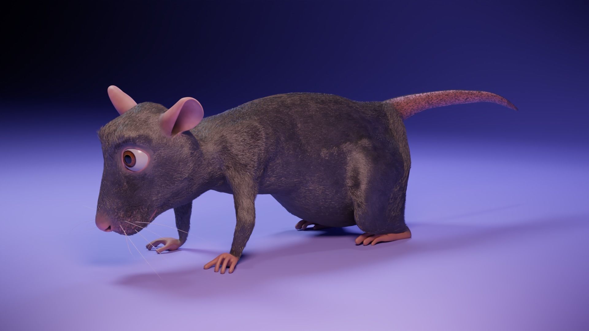 Cartoon Rat Low-poly 3D model_14