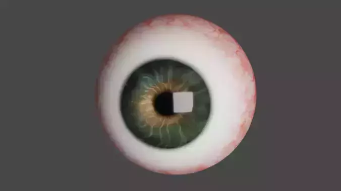 Realistic procedural eyeball with green-brown iris