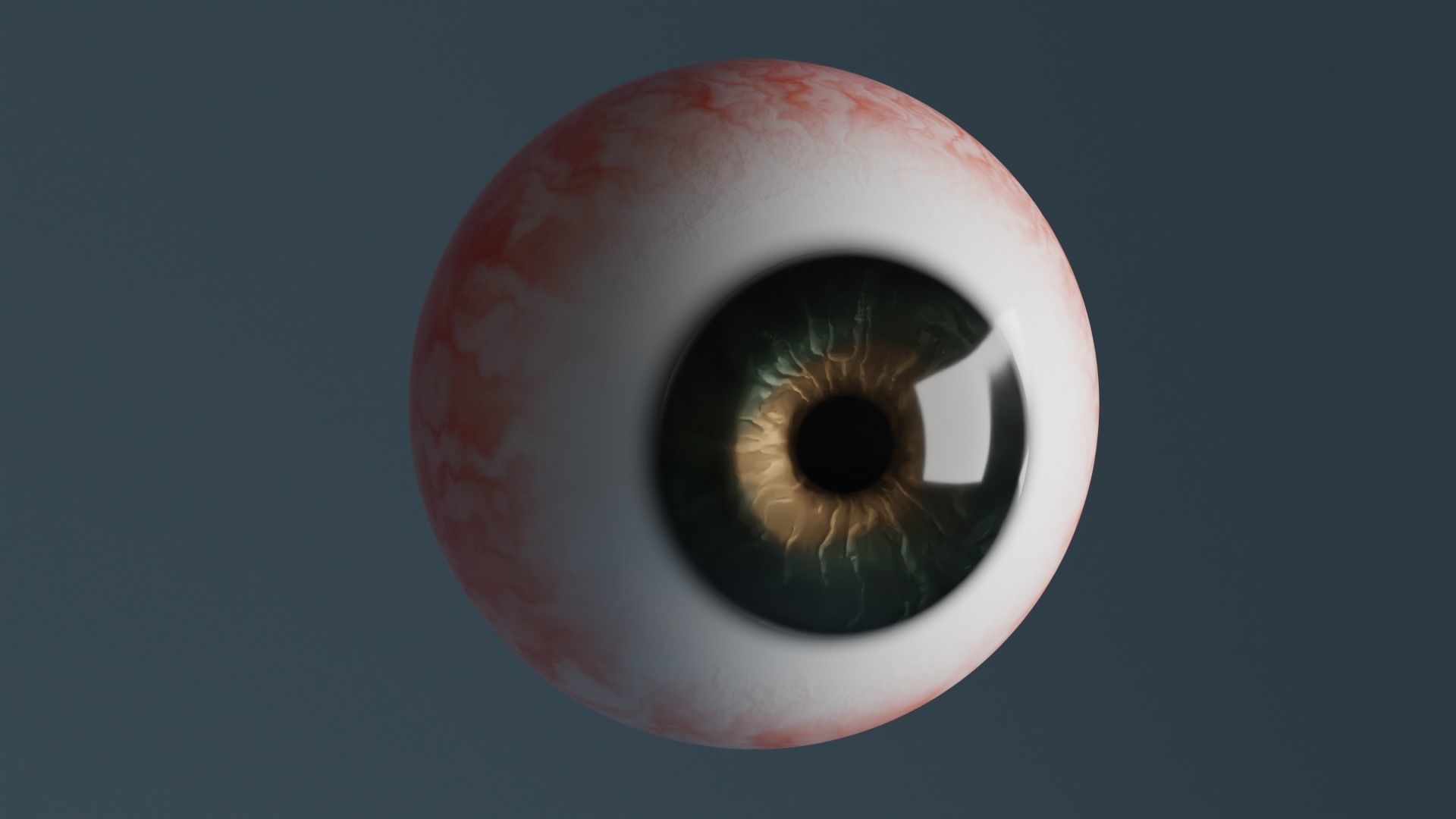 Realistic procedural eyeball with green-brown iris Low-poly 3D model_2
