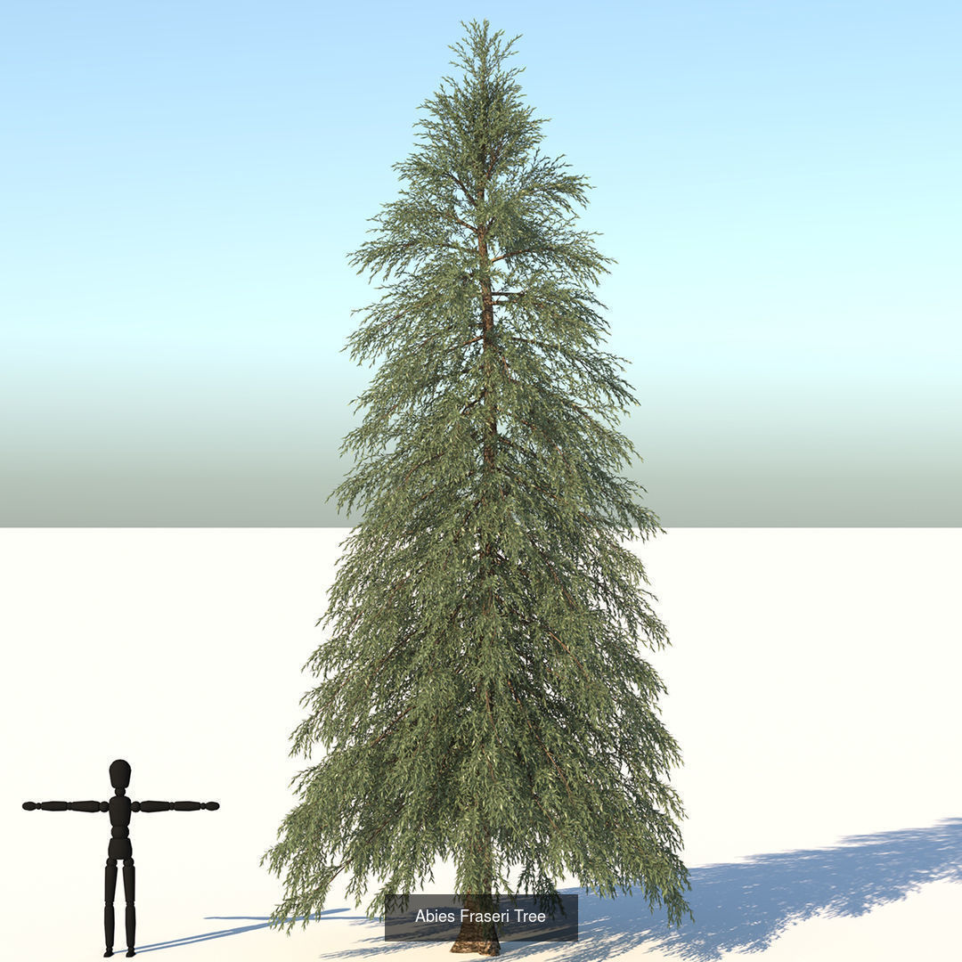 Tree Collection palm with cross _8