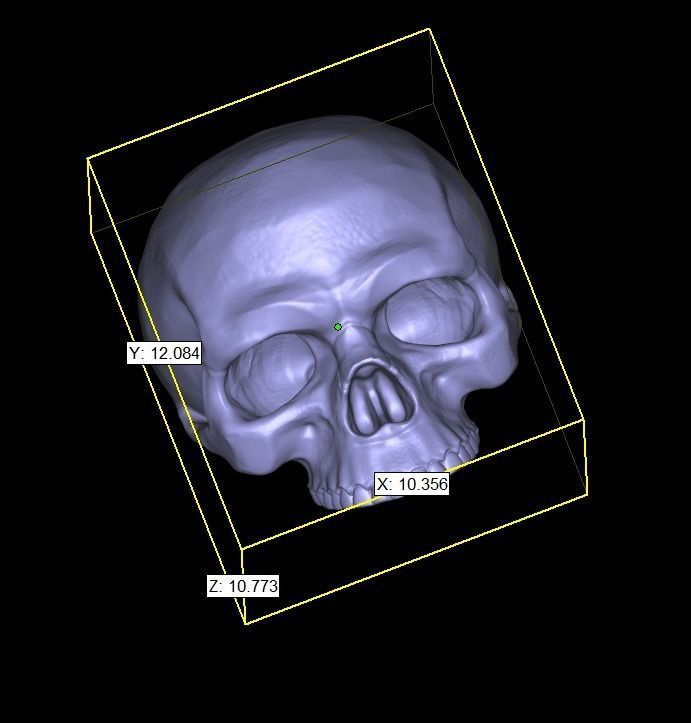 Ring Hands holding skull  3D print model_9