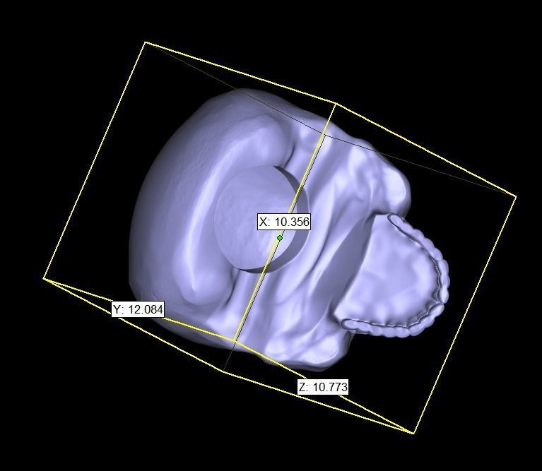 Ring Hands holding skull  3D print model_15