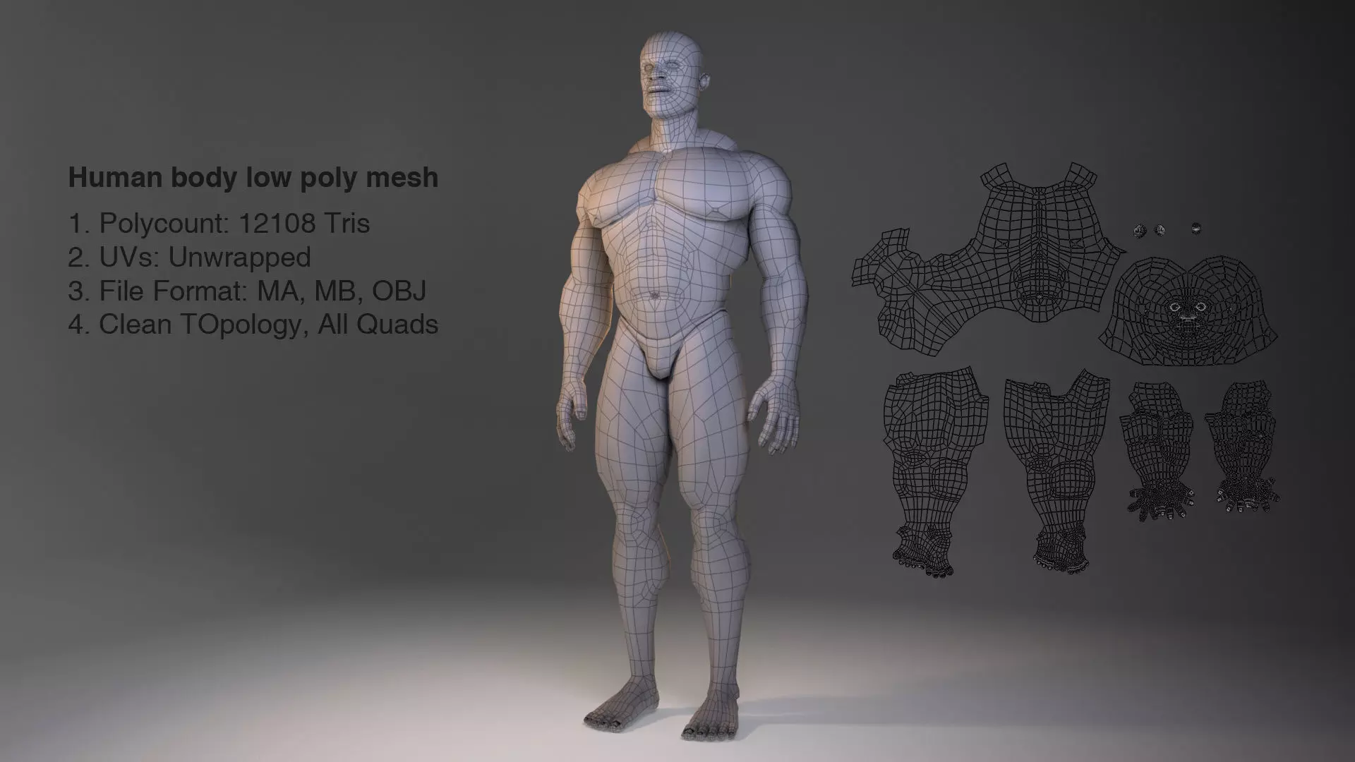 Low Poly Male Body Model Low-poly 3D model_0