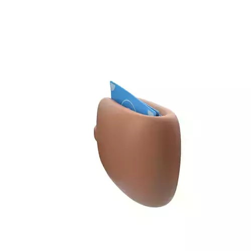 Purse with money SUBD