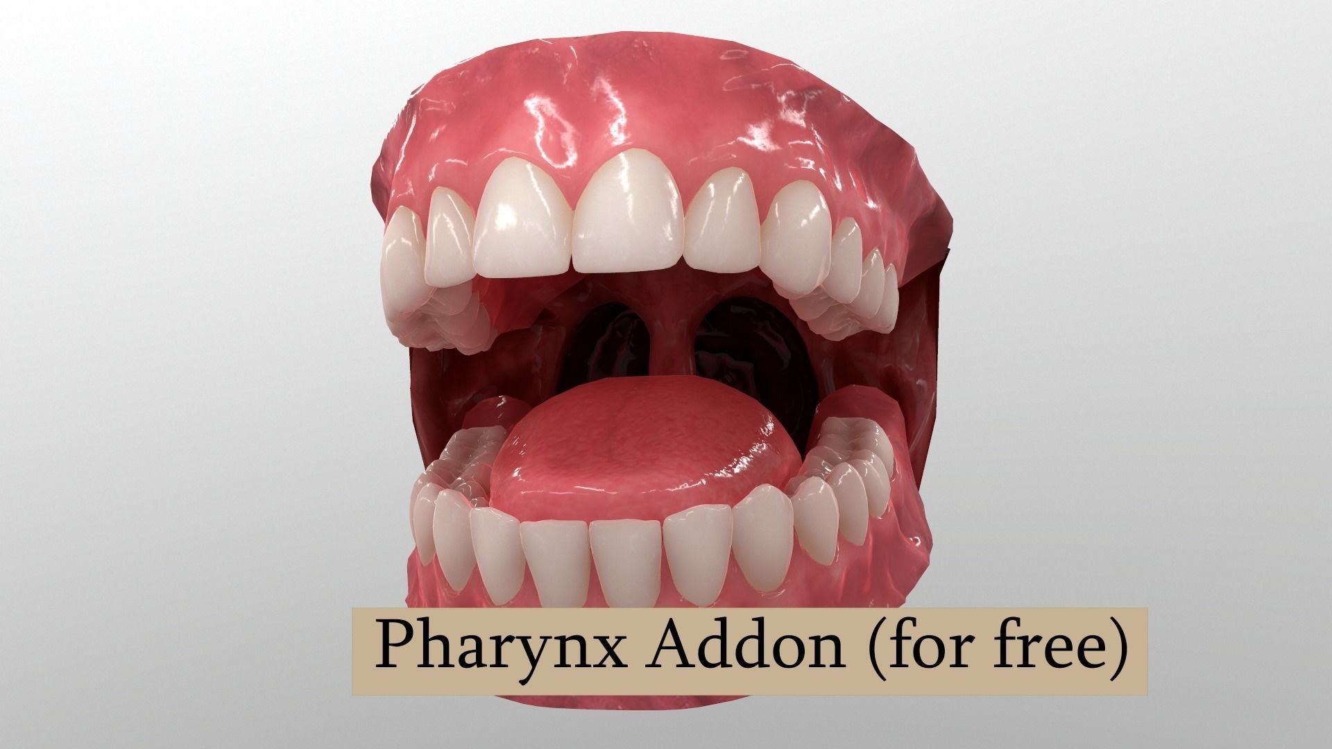 Realistic Mouth for character Low-poly 3D model_11
