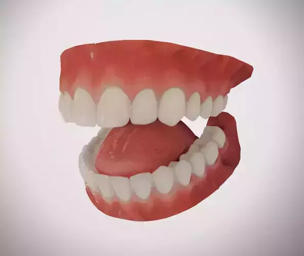 Realistic Mouth for character Low-poly 3D model