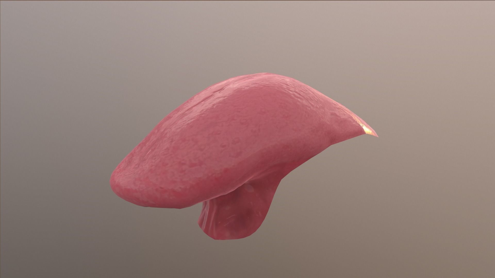 Realistic Mouth for character Low-poly 3D model_21