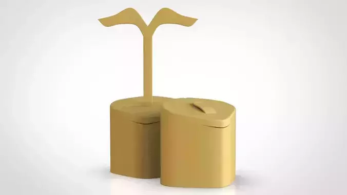 ring and earing display