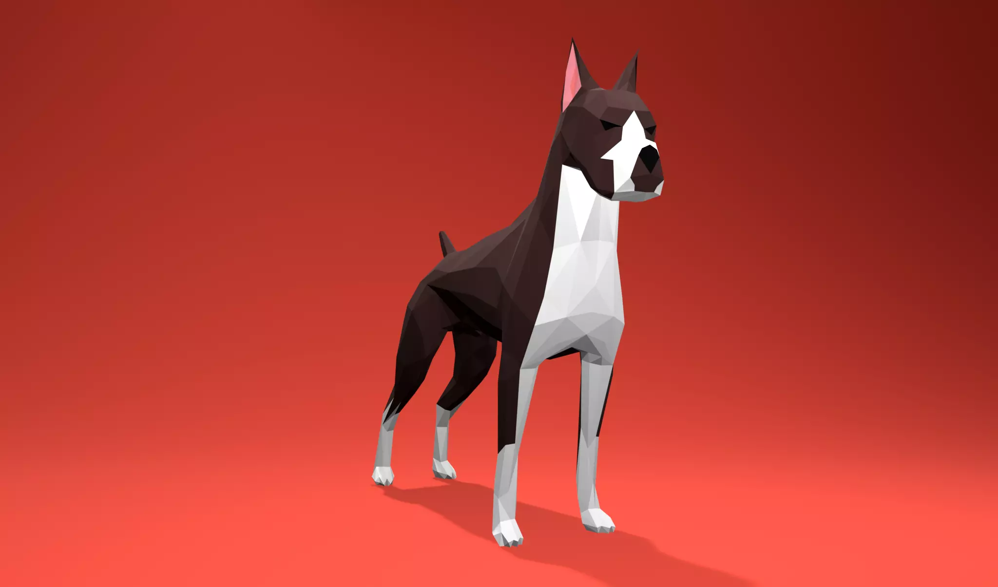 American Boxer Dog Lowpoly 3D print model_0