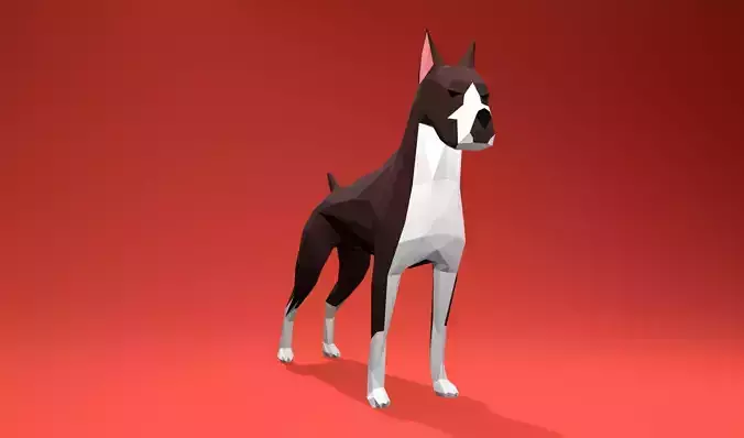 American Boxer Dog Lowpoly