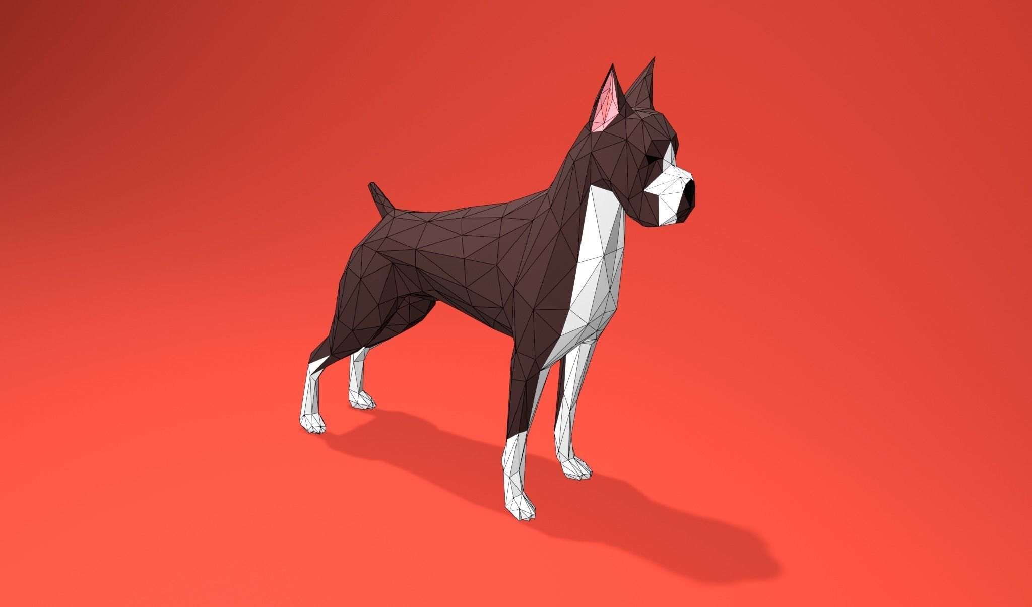 American Boxer Dog Lowpoly 3D print model_3