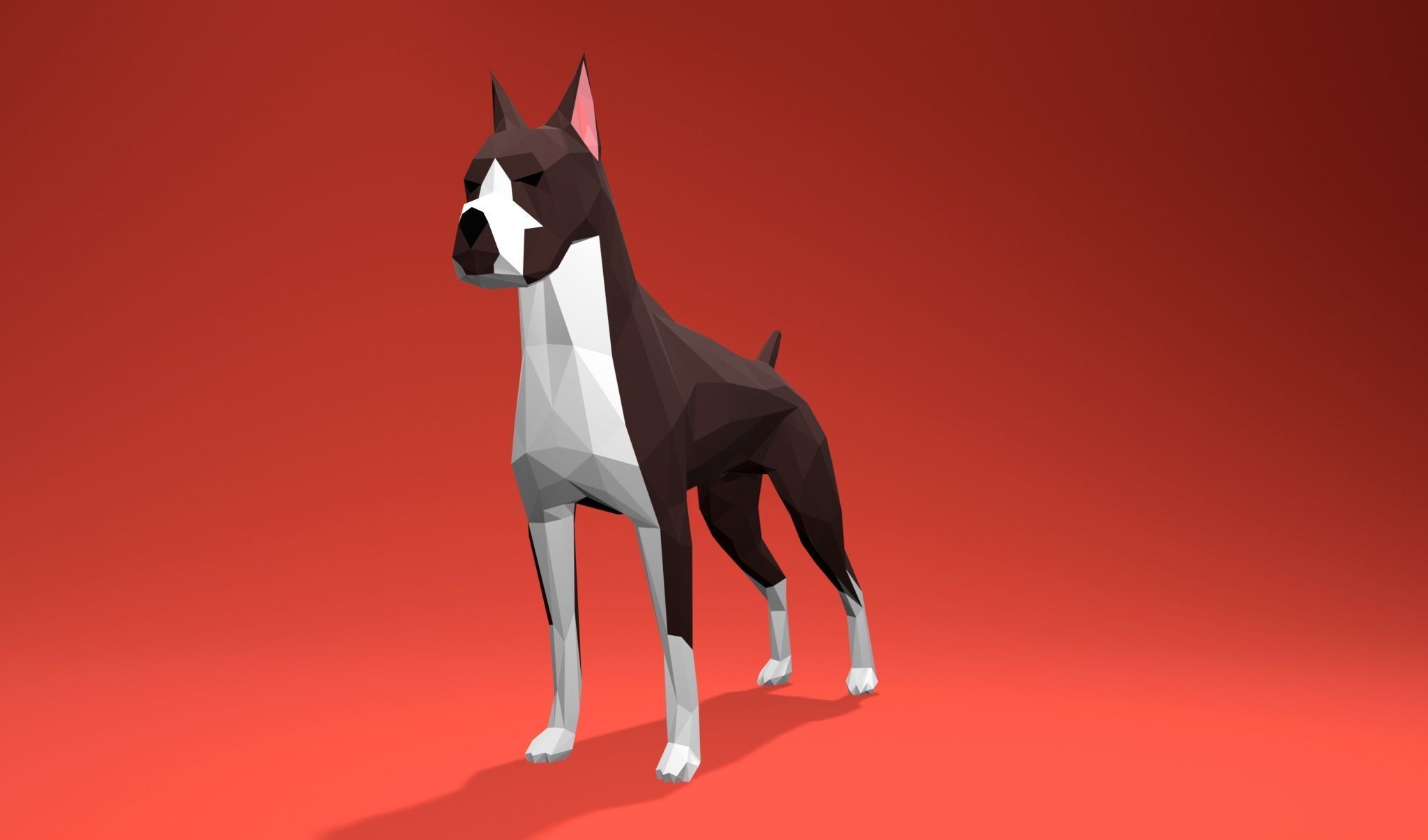 American Boxer Dog Lowpoly 3D print model_16
