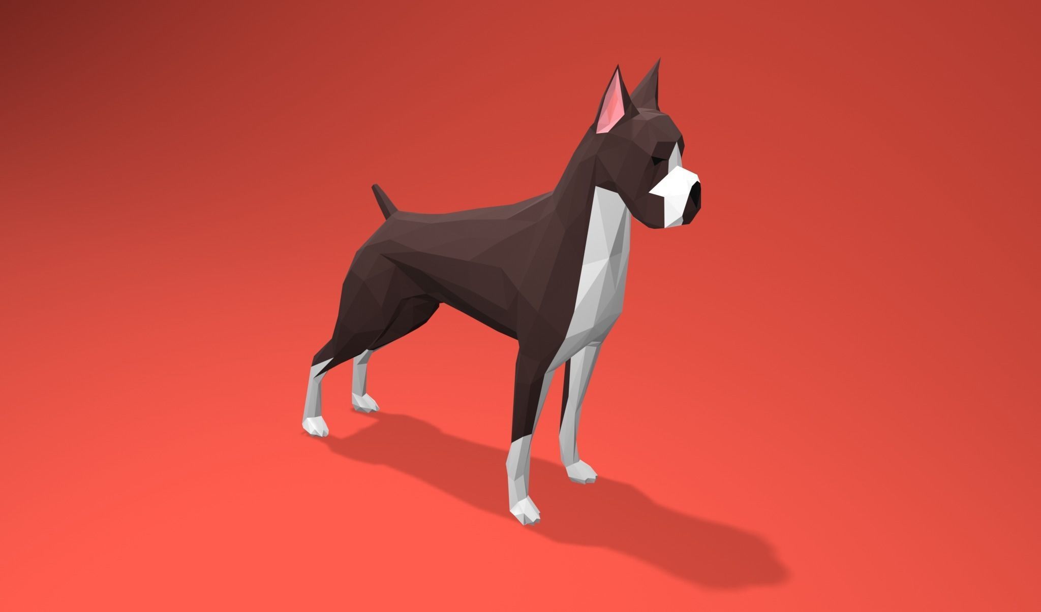 American Boxer Dog Lowpoly 3D print model_2
